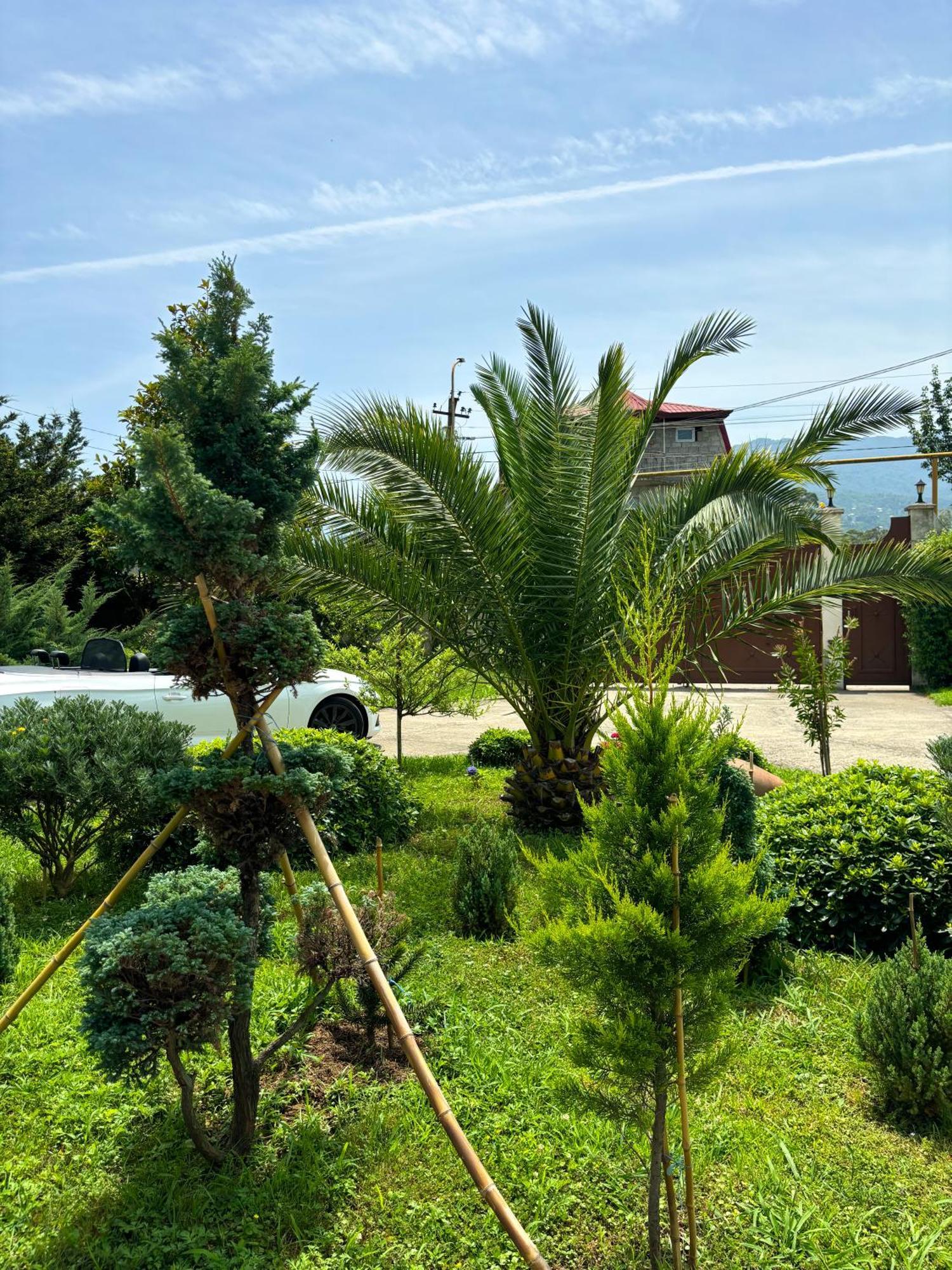 Villa Qero Batumi Luaran gambar